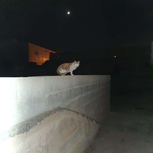 20191230_194617